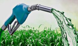 Quais são os impactos ambientais provocados pelos biocombustíveis