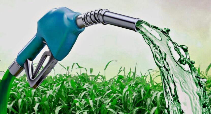 Quais são os impactos ambientais provocados pelos biocombustíveis