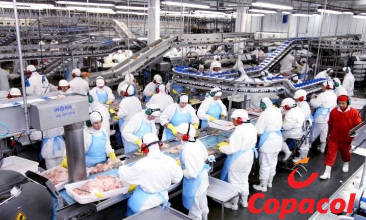 Copacol jobs vacancies industry