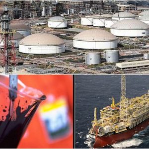 Petróleo Leve Brasil produção alta qualidade
