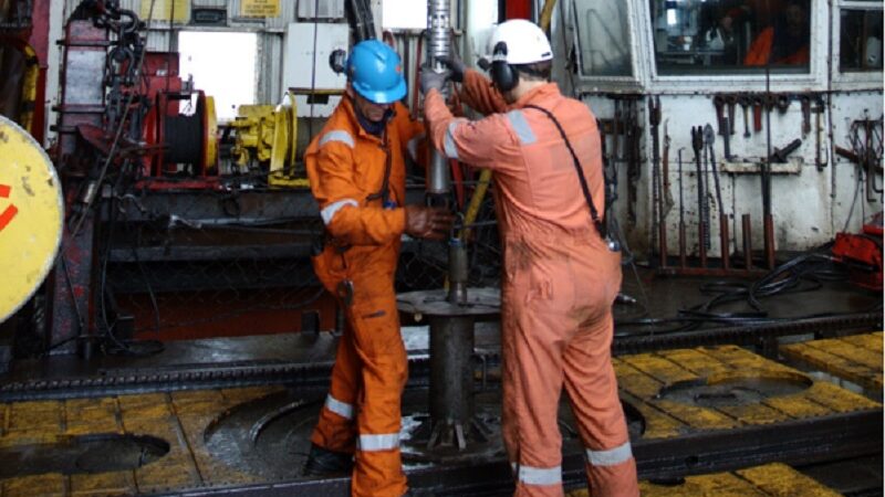 Macaé with openings for drilling