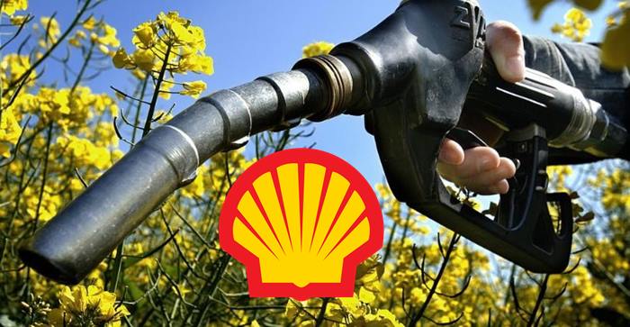 Shell entra em novo mercado