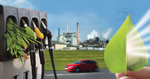Diesel Verde ANP Biocombustível