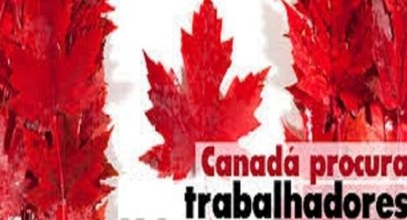 Canadá recruta brasileiros para preencher 250 vagas de emprego