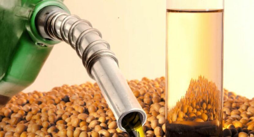 3,6 million liters of biodiesel are exported to Europe by JBS