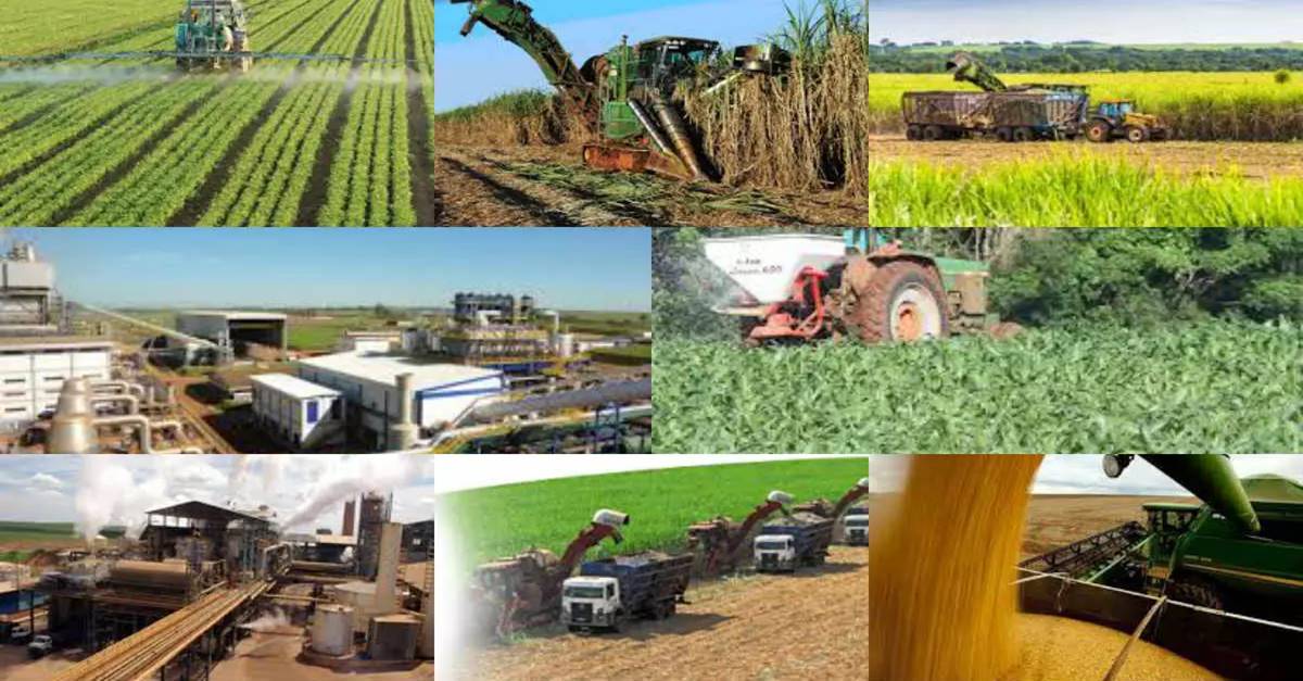 Many elementary, middle and higher education vacancies opened by agribusiness company in MT