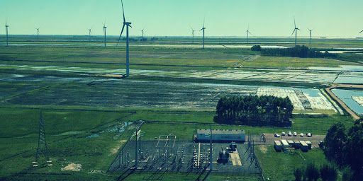 Grupo Oleoplan convoca técnicos e profissionais de ensino médio para vagas de emprego no ramo de energia renovável no Rio Grande do Sul