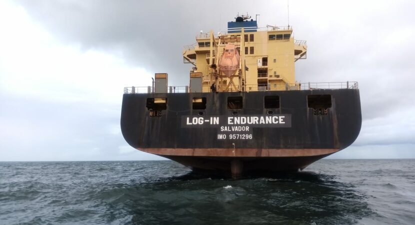 Log-In Endurance cabotagem navios logística