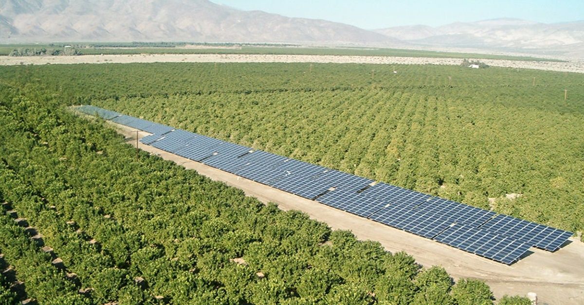 energias-renovables-planta-fotovoltaica-bahia