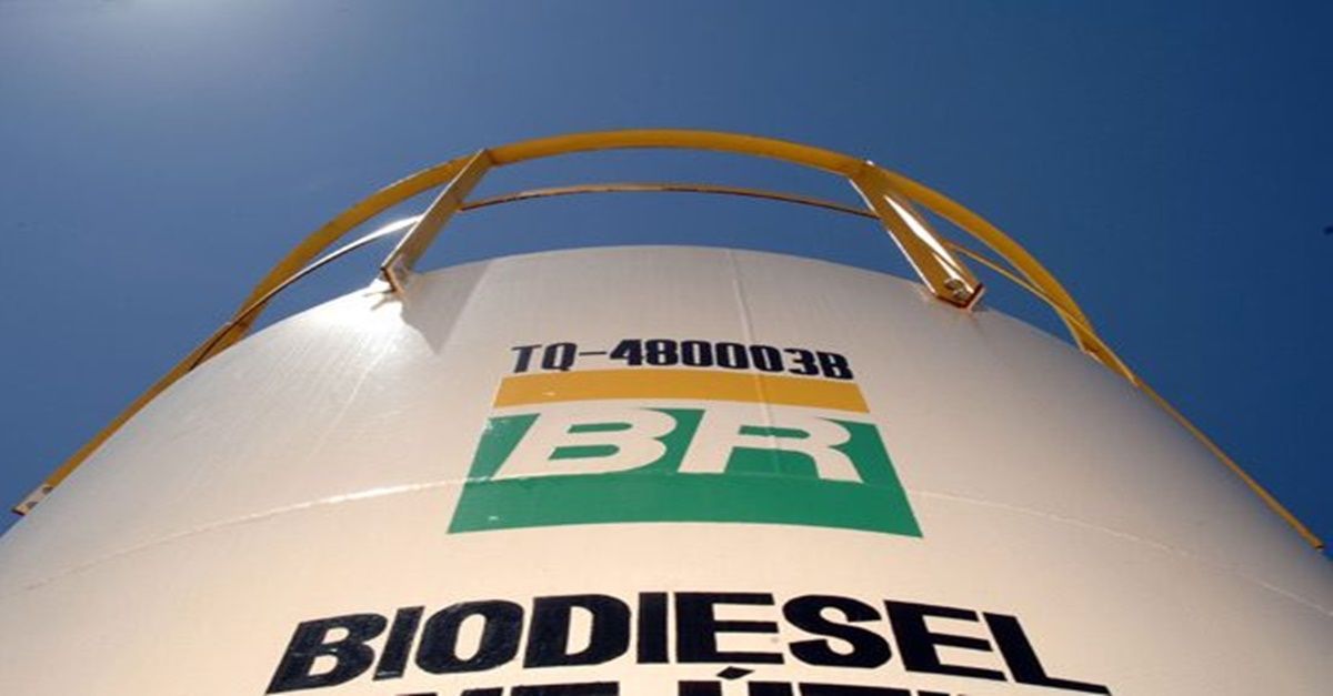 leilão de biodiesel ANP