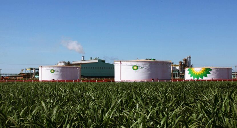 ethanol; BP; cane fields; sugar ; power plant