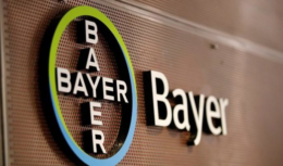 Bayer, Estágio, vagas