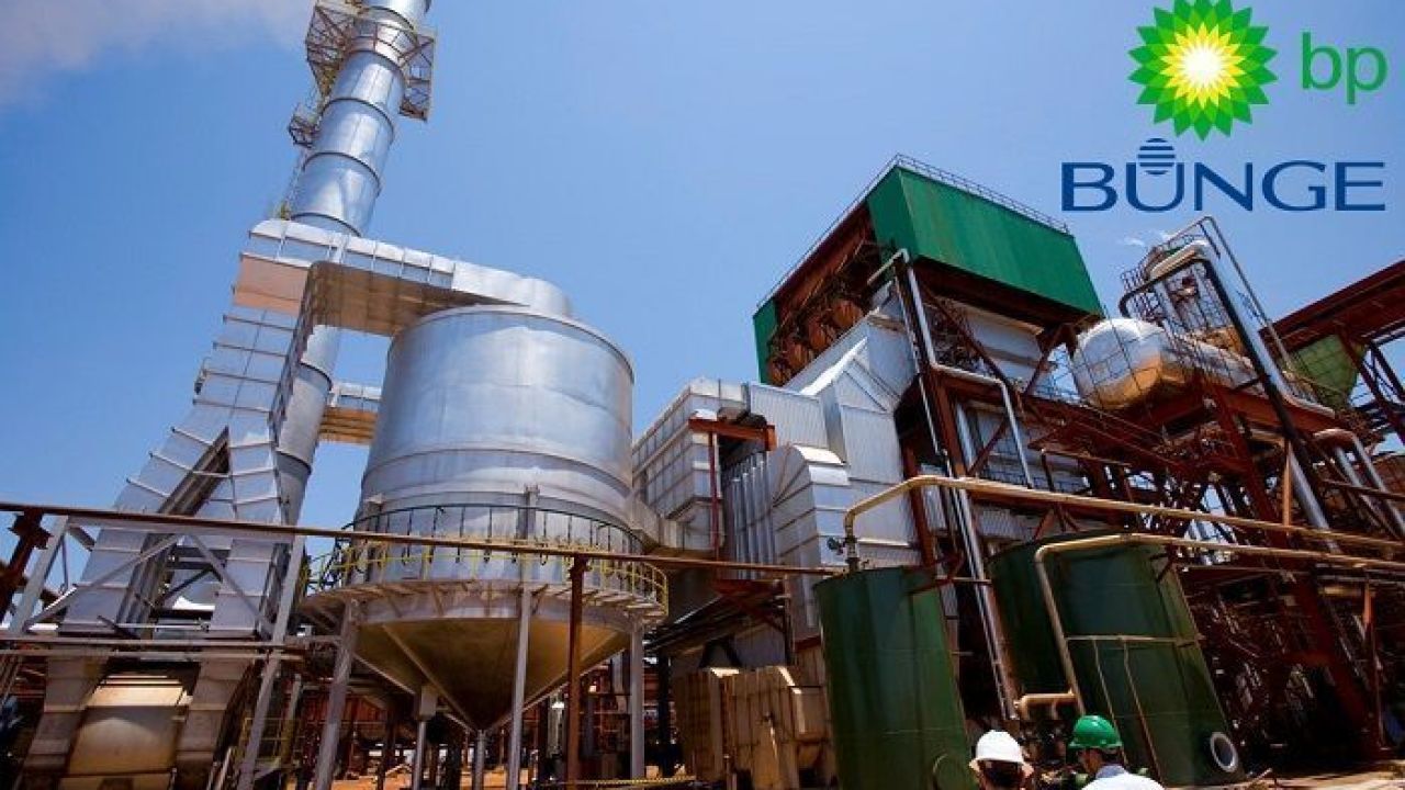 Ethanol, BP Bunge, employment
