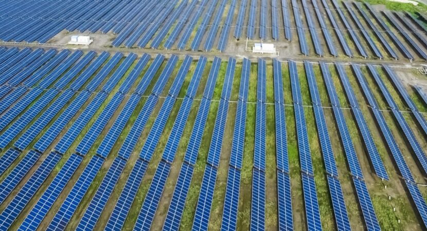 STI Norland -plant - solar energy -MG