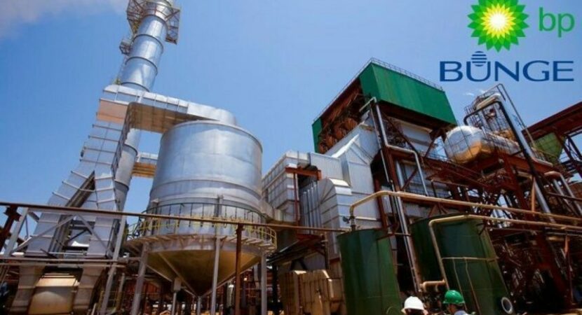 Multinational leader in the ethanol market, BP Bunge Bioenergia has job ...