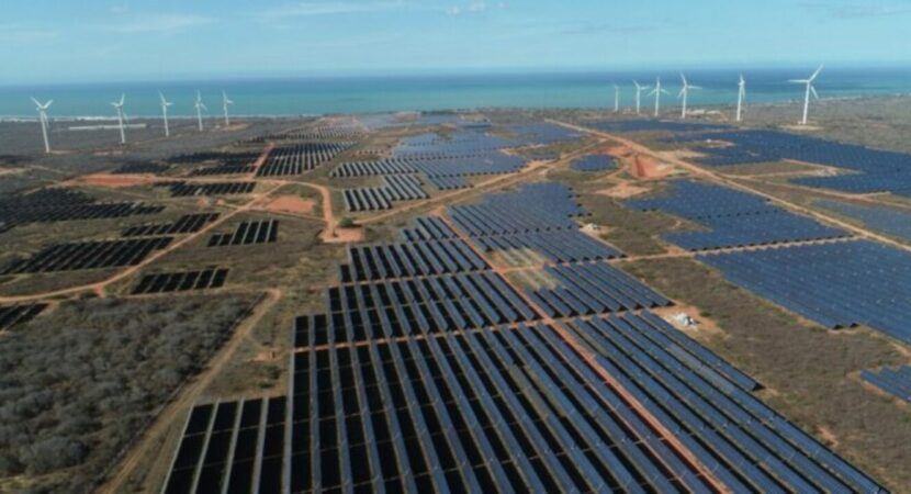 Focus energy - solar energy - Bahia - plant