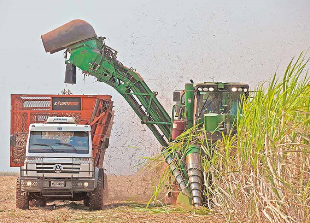 Mills, sugar cane, ethanol plants