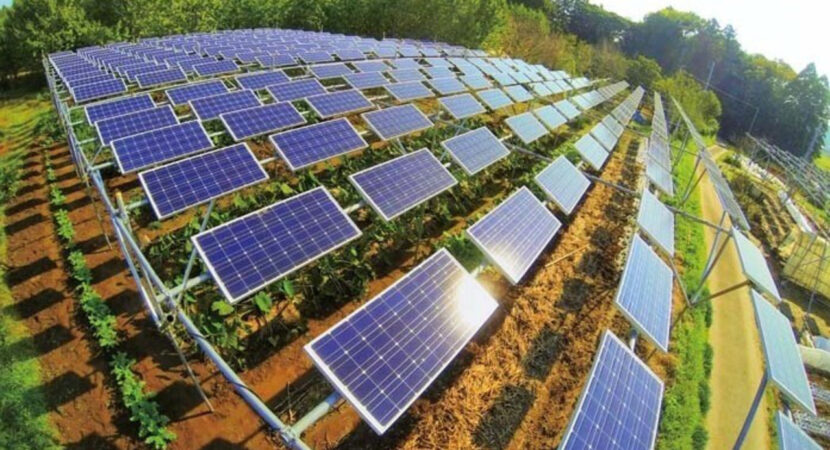 BRF -BB - energía solar - agricultura