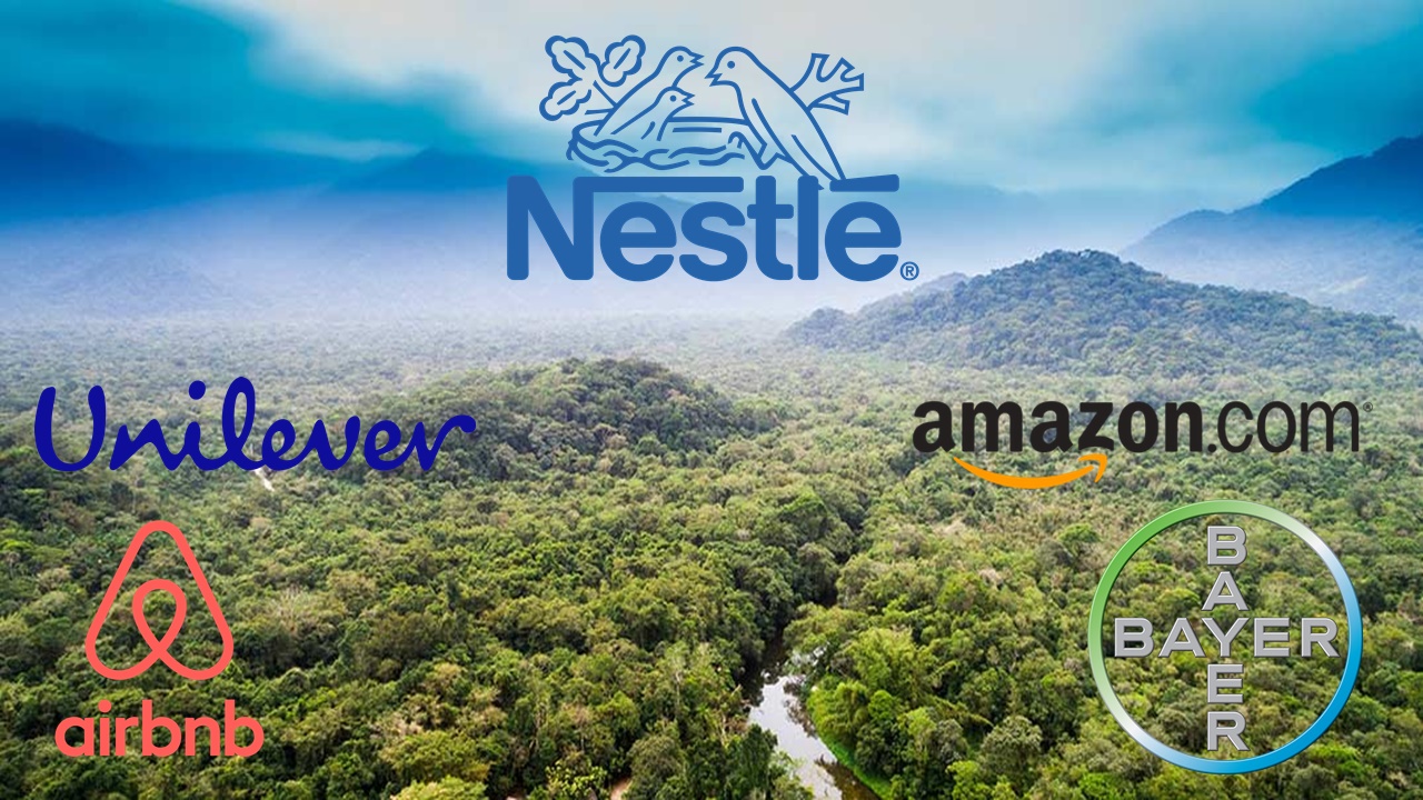 Nestlé - Heineken - Ambev - coca cola - Airbnb - emprego - vagas - floresta tropical