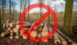 Governo Federal – emissões de carbono – desmatamento