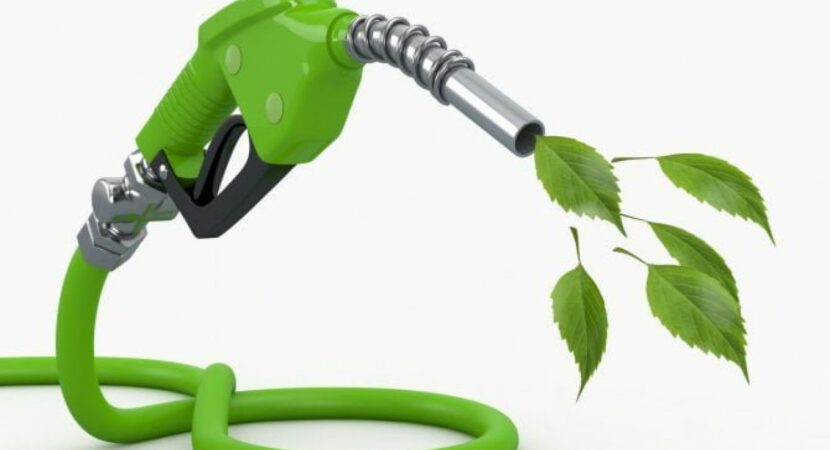 Biocombustível - plantas - cientistas - consumidor