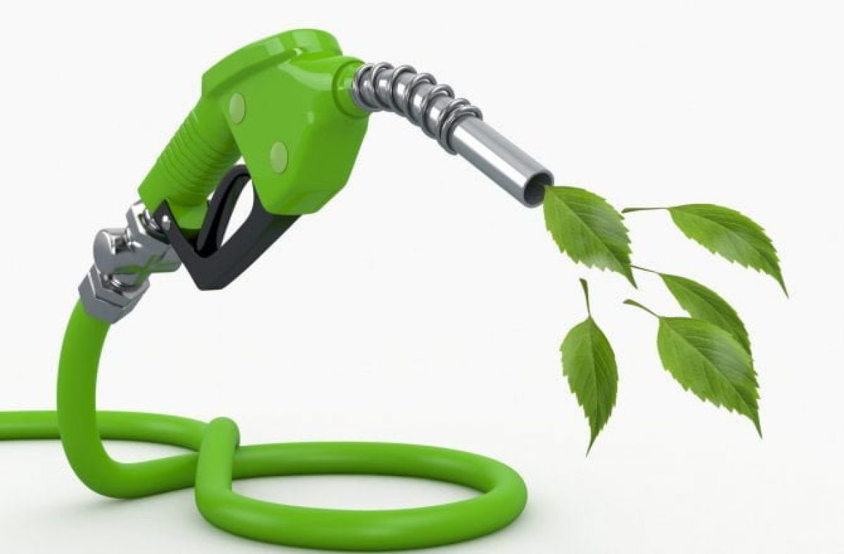 Biocombustível - plantas - cientistas - consumidor