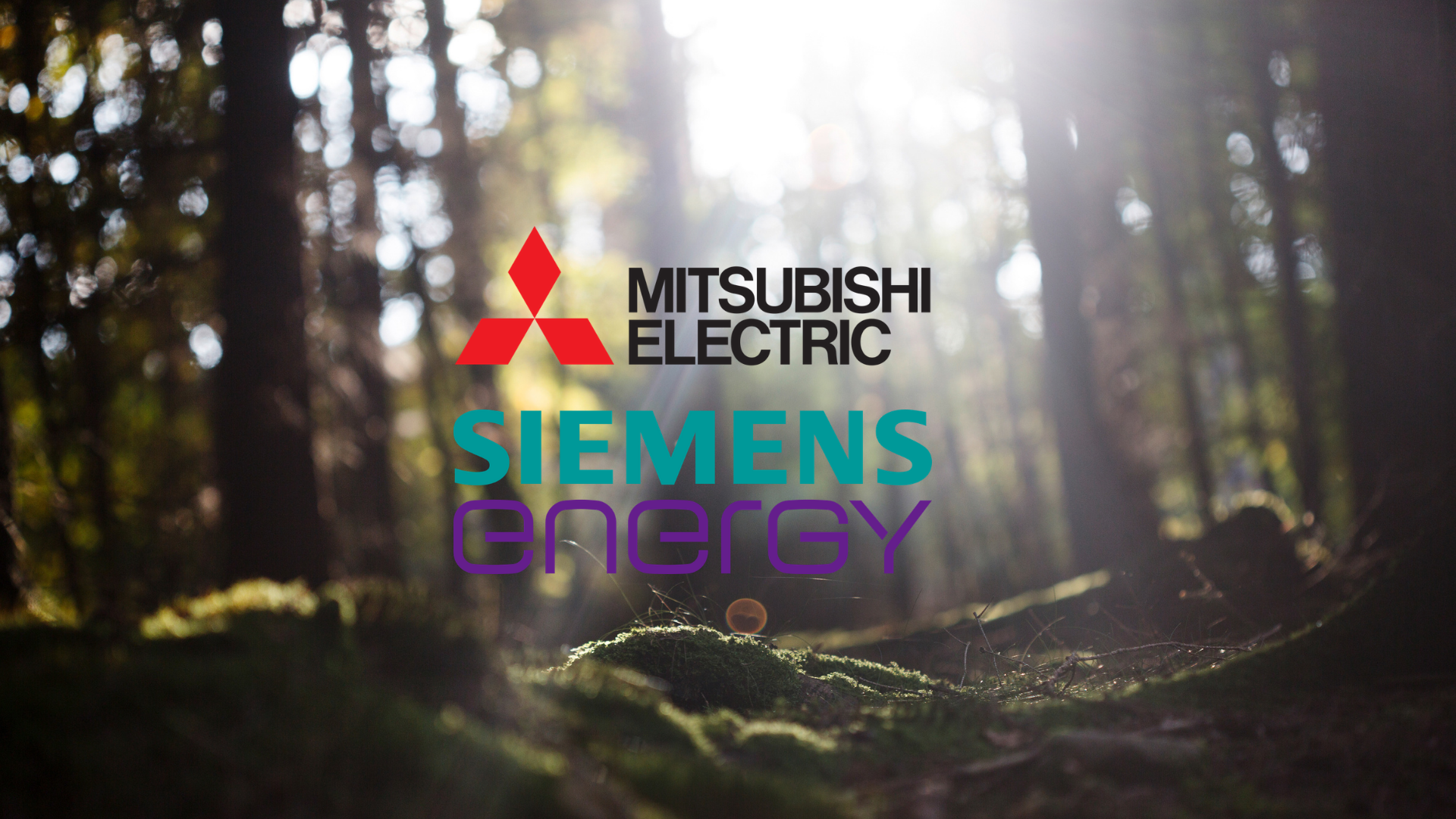 Carbono – Siemens – Mitsubishi