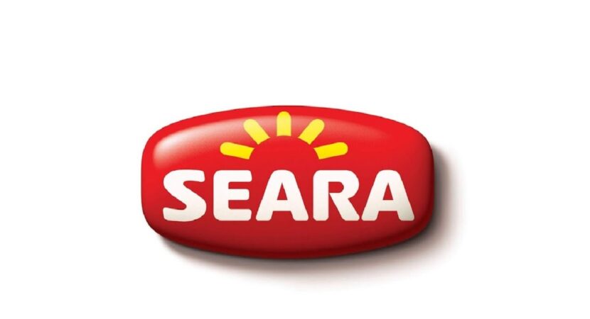Seara - job openings - education levels