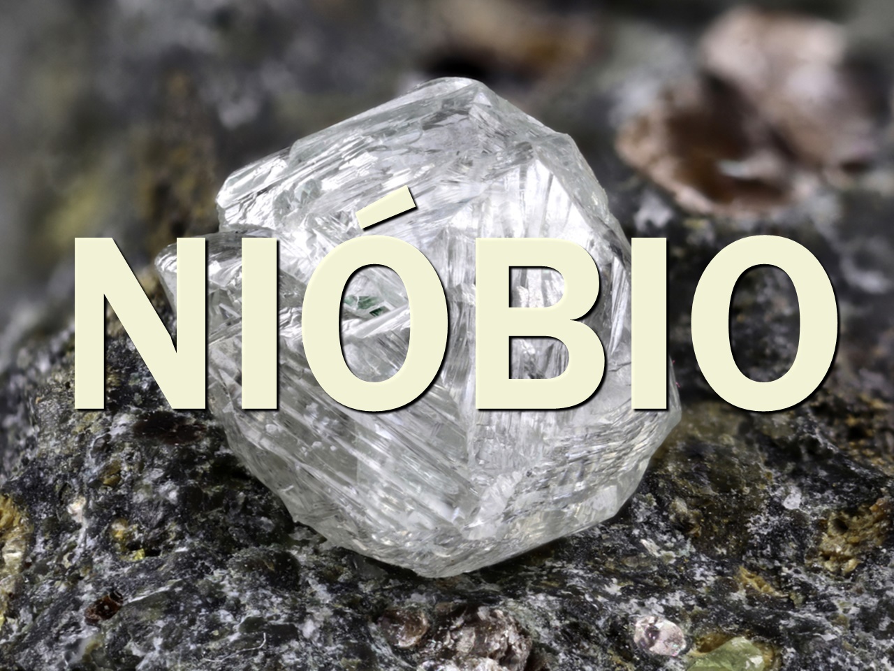nióbio - sementes - fungos - nanotecnologia - nanonib - agro
