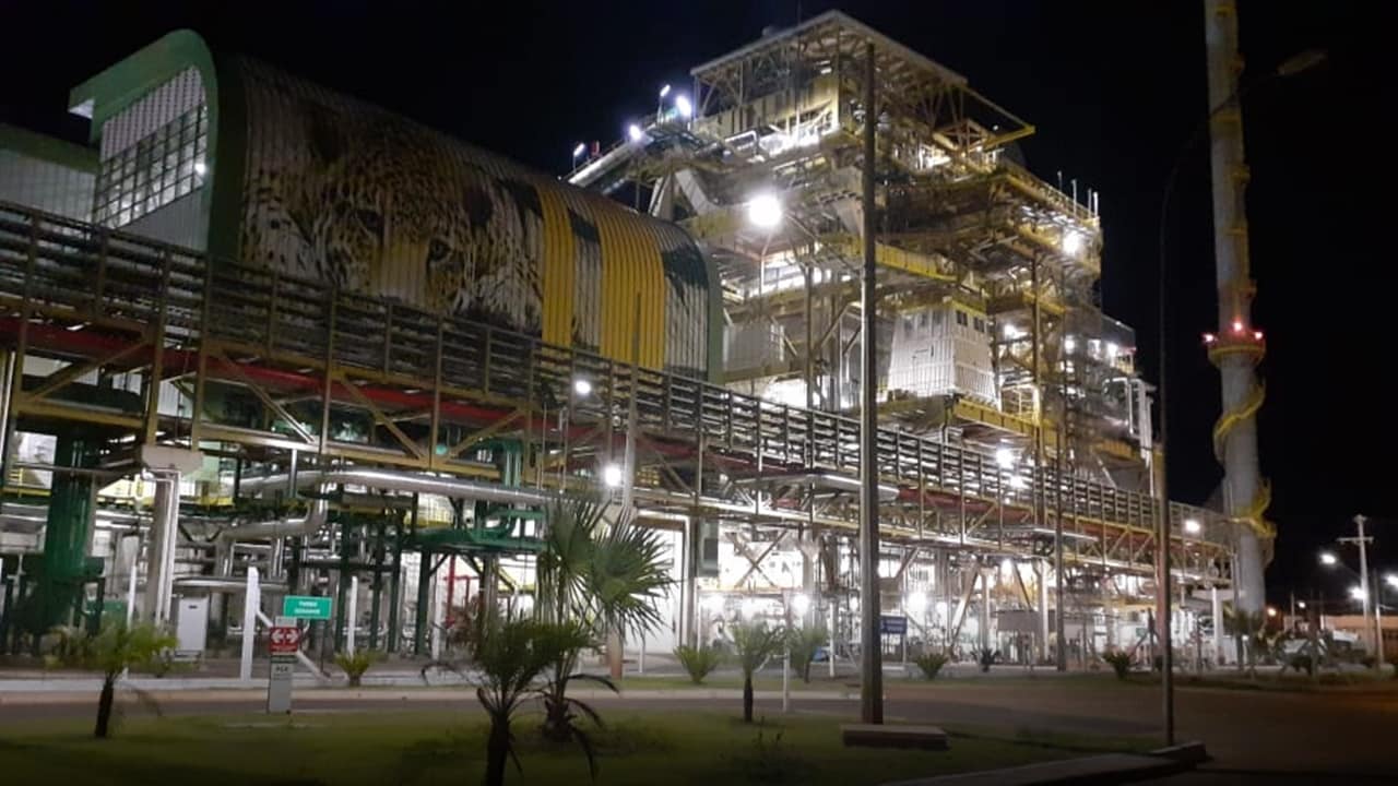 Plant - biomass - Mato Grosso do Sul