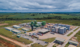 Usinas – biodiesel – Mato Grosso
