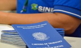 Sine Manaus está com processo seletivo aberto para 299 vagas de emprego