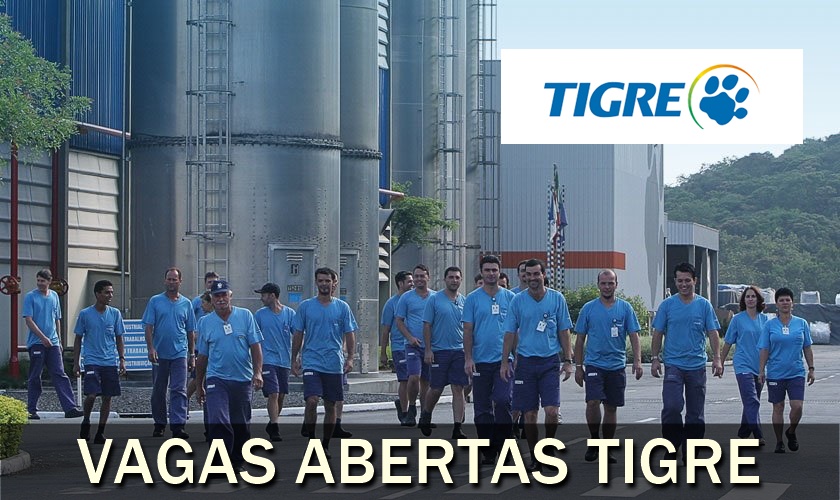 vagas - rj - sp - Tigre - estágio