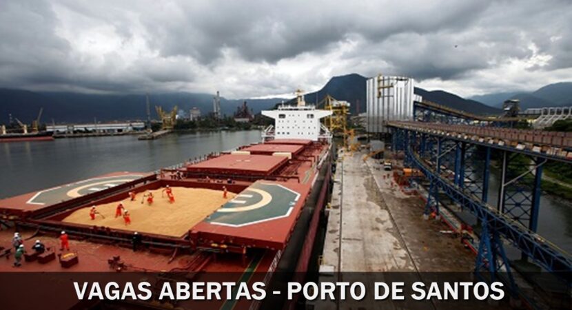 employment - porto de santos - vacancies - elementary school - dock - auxiliary - grains - high school