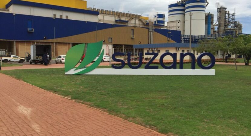 factory - Suzano - project