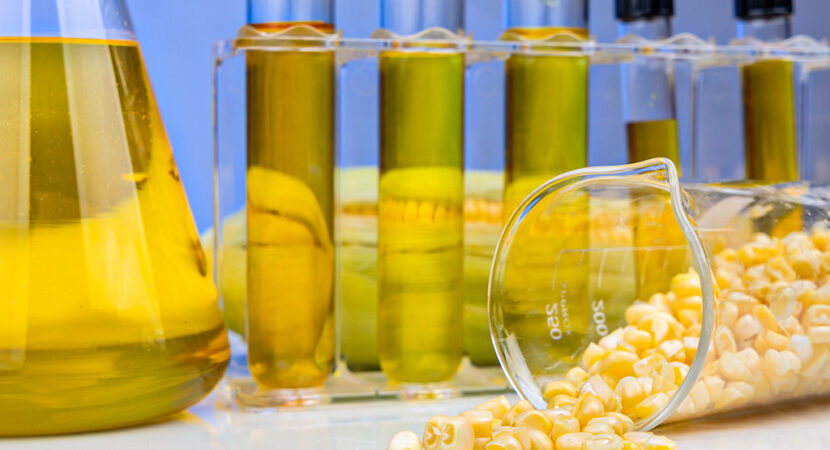 etanol, milho, biocombustíveis