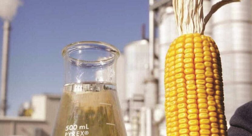 Cientista - etanol - etanol de milho - gasolina