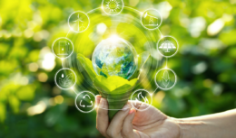 ESG - sustentabilidade - carreira