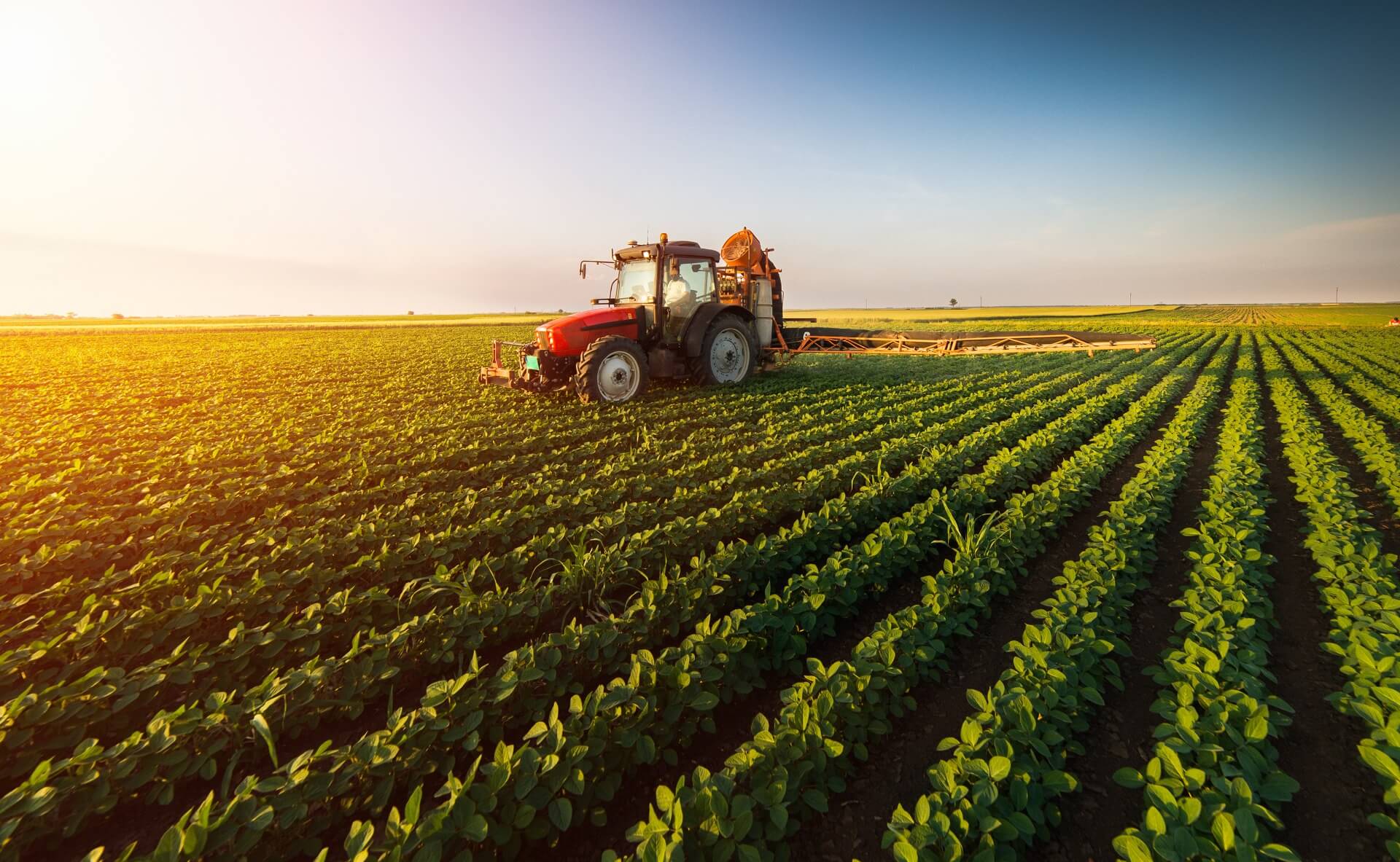 Brasil pode deixar de ser dependente dos fertilizantes da Rússia com plano anunciado pelo Ministério da Agricultura
