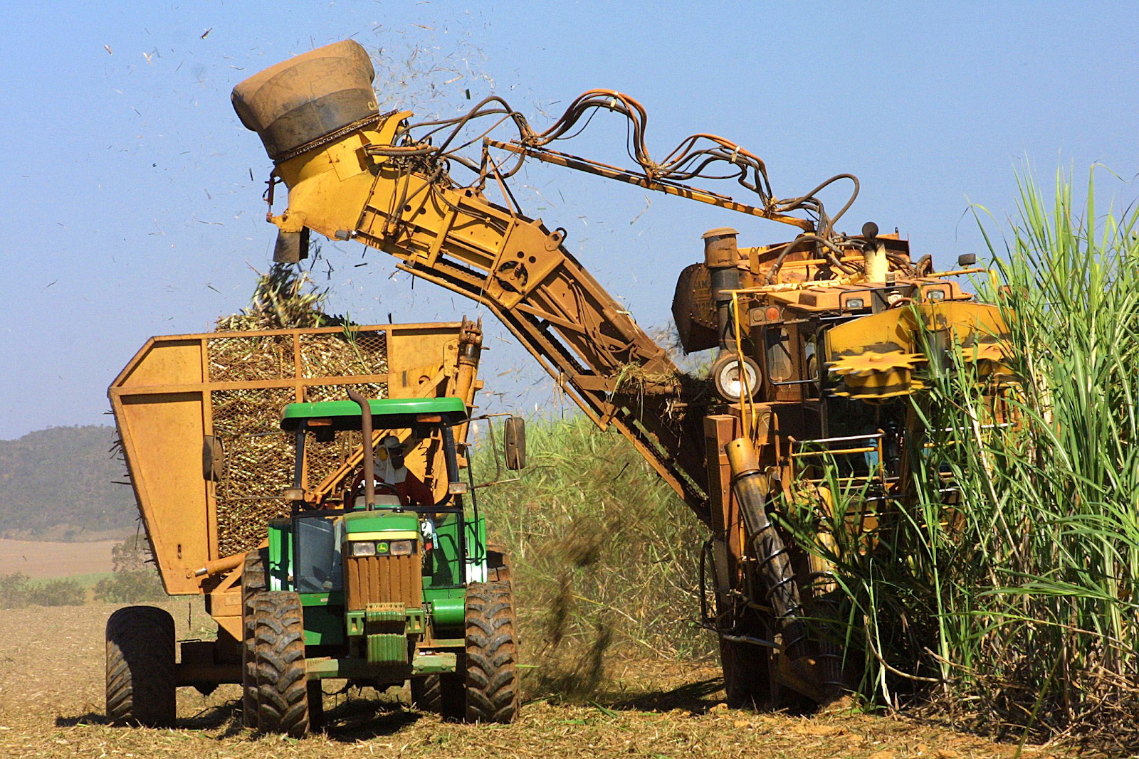 sugarcane crop is projected to improve in mills and may improve ethanol price