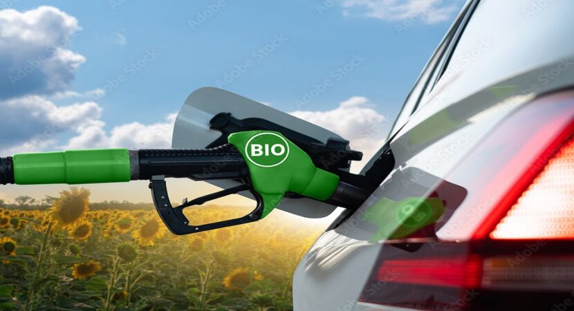 biodiesel, produção, indústria