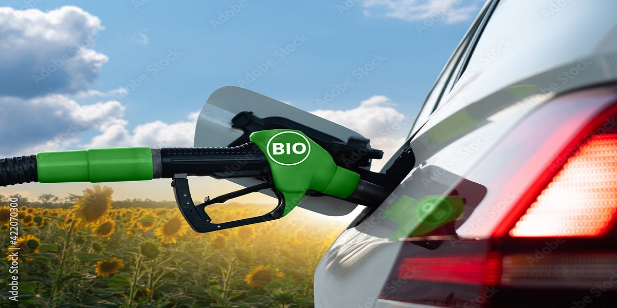 biodiesel, produção, indústria