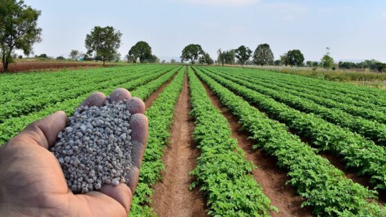 Brazil will host the biggest event in the fertilizer market in Latin America: New technologies will be presented, business opportunities for us to depend less and less on other countries - Source: Canvas