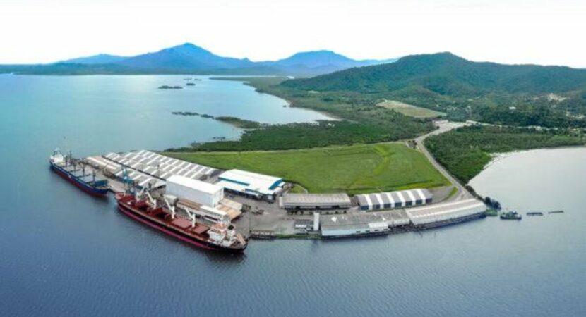 El mercado europeo utiliza pellets de madera como insumo para diversas ocasiones diarias y, por eso, Porto Ponta do Félix espera un movimiento de hasta 120 mil toneladas de exportación de carga a los puertos del continente
