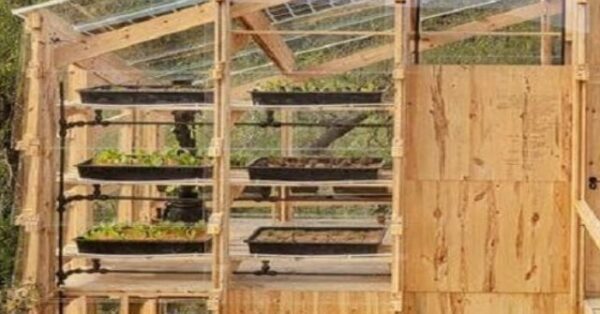 cropped-Group-of-architecture-students-builds-prototype-solar-powered-greenhouse-that-can-grow-food-and-produce-energy-without-human-assistance.jpg