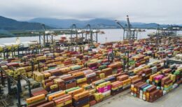 A pesar de que los puertos brasileños tienen un gran déficit de contenedores, el principal problema que rodea las operaciones de manejo de carga en Brasil, actualmente, son los altos costos con el flete internacional y la falta de previsibilidad en el mercado, según Antaq