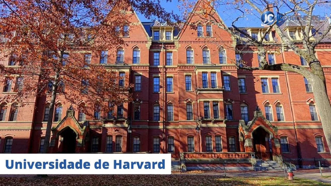 Cursos grátis de Harvard e outras instituições de ponta para fazer de casa  - 19/10/2020 - UOL Economia