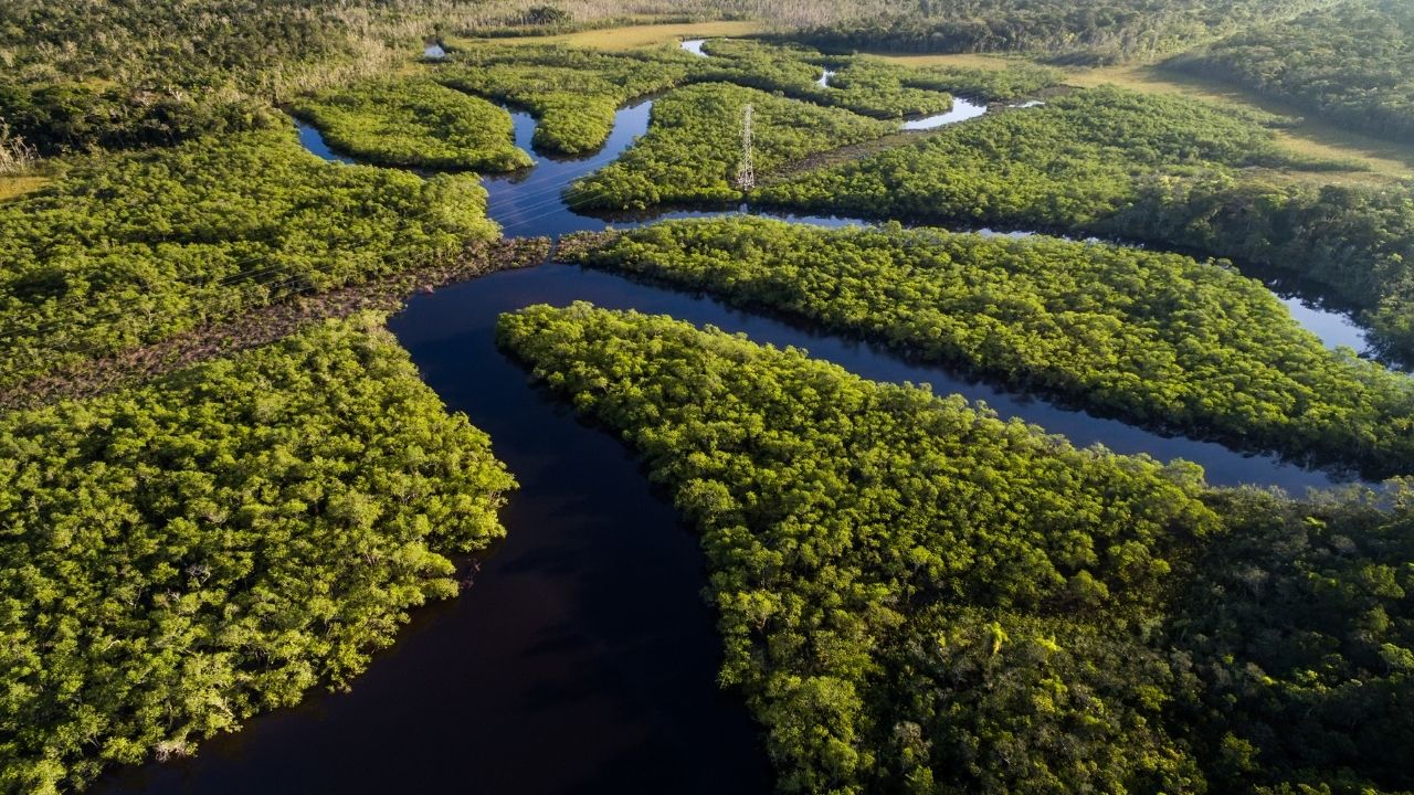 Zona Franca de Manaus é um dos lugares que mais gera empregos no Brasil e garante a preservação da Amazônia, trazendo lucros bilionários para a economia do país