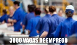 employment - production - elementary - technical education - Rio de Janeiro - São Paulo
