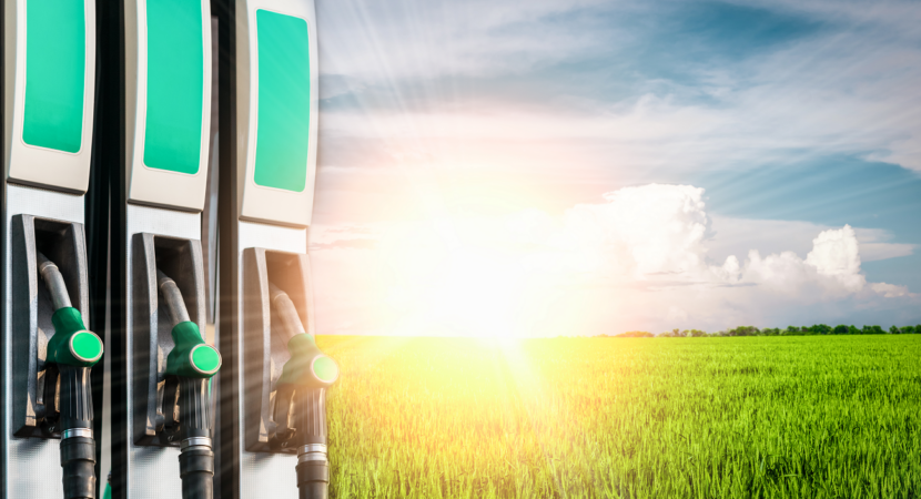 biodiesel, combustíveis, transporte